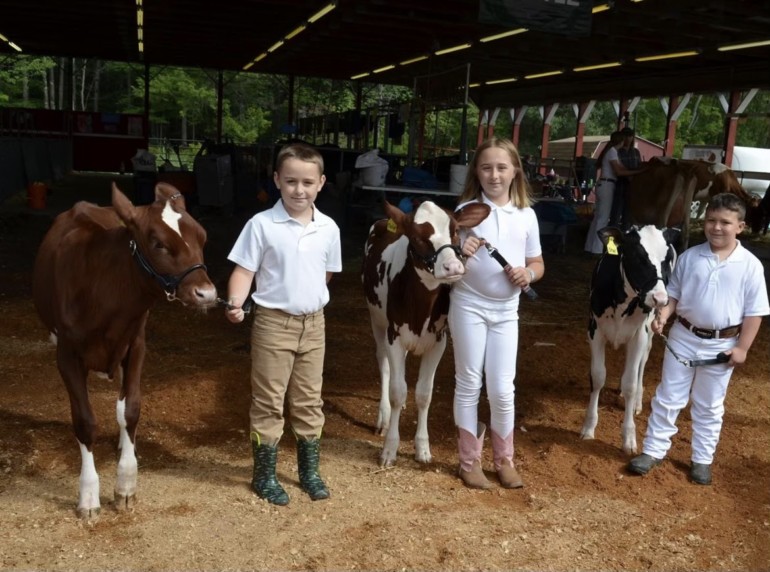 Livestock GDS Fair