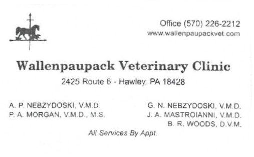 wallenpaupack vet